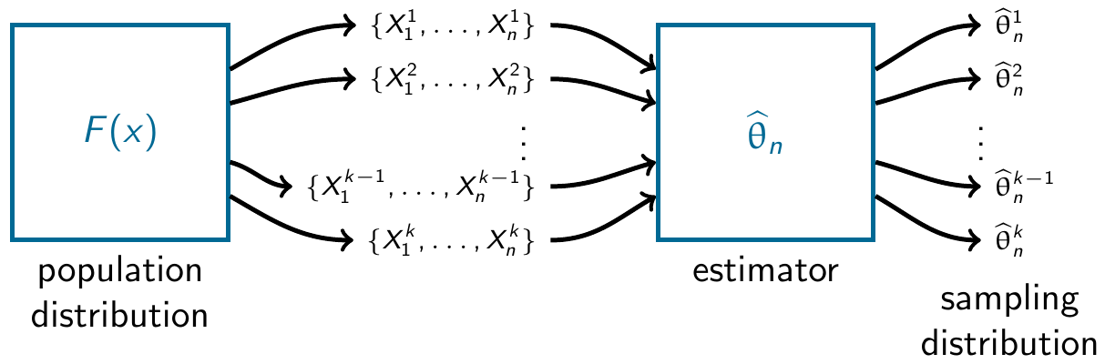 Diagram of the sampling distribution process. Many random samples from the population passed through the estimator box/function to produce many random draws from the distribution of the estimator.
