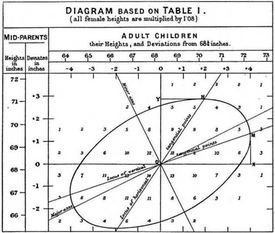 Galton correlation